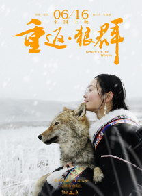 只因为你是个女人